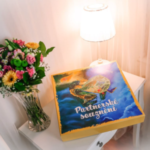 Hra Partnerské souznění